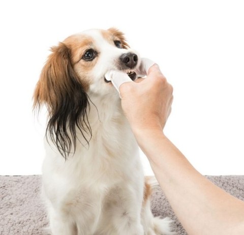 Trixie Dental Care nakładki na palce do higieny zębów 50szt Trixie Dental Care nakładki na palce do higieny zębów 50szt