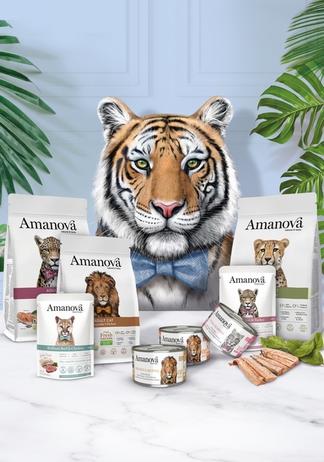 Amanova Cat Chicken & Tuna - kurczak i tuńczyk w bulionie puszka 70g Amanova Cat Chicken & Tuna - kurczak i tuńczyk w bulionie puszka 70g