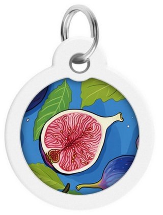 Collar WauDog Smart ID Zawieszka z QR-paszportem okrągła 3cm figa Collar