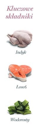 Amanova Cat Tasty Salmon & Turkey - łosoś i indyk saszetka 85g