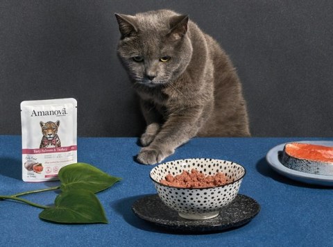Amanova Cat Tasty Salmon & Turkey - łosoś i indyk saszetka 85g