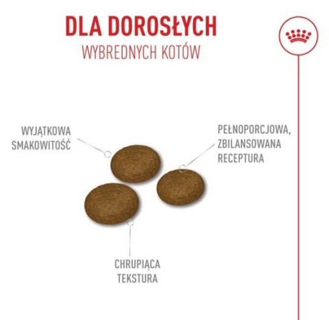 Royal Canin Fussy Exigent karma sucha dla kotów dorosłych, wybrednych 2kg Royal Canin Feline