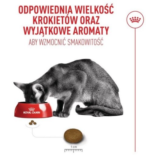Royal Canin Fussy Exigent karma sucha dla kotów dorosłych, wybrednych 2kg Royal Canin Feline