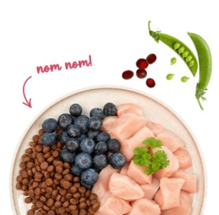 Sanabelle Adult Huhn z kurczakiem 8kg Sanabelle