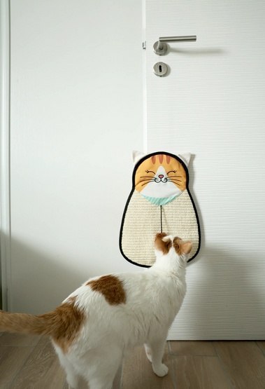 Zolux Chatouille Drapka do powieszenia kot z sizalu z zabawką 54cm Zolux Chatouille Drapka do powieszenia kot z sizalu z zabawką 54cm